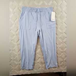 Lululemon Beyond The Studio Lined Crop Pants Womens 14 Blue
